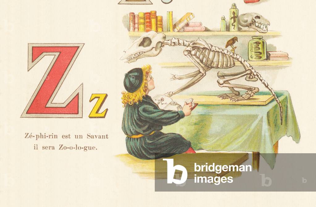 Z: Zephirin is a Savant he will be a Zoologist