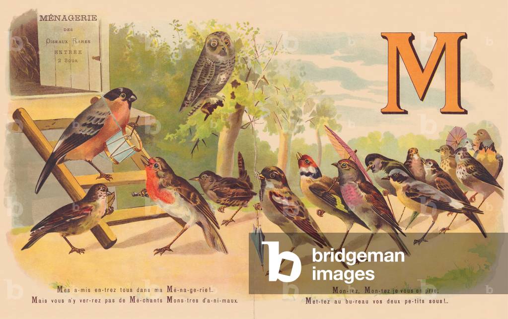 M: Menagerie, music, musicians - My friends all enter my Menagerie! But you won't see nasty animal monsters there...