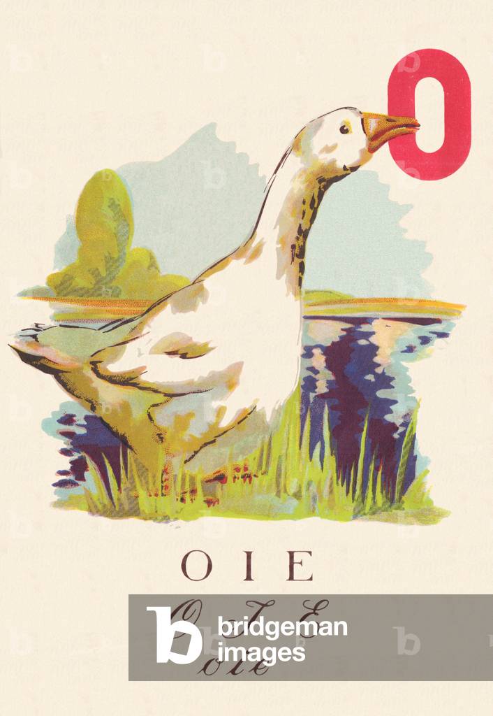 ABC Goose Birds, 1945 (illustration)