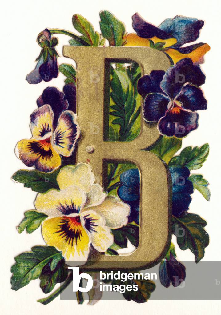 B : Pensees -  Flowers and Landscapes Alphabet in 