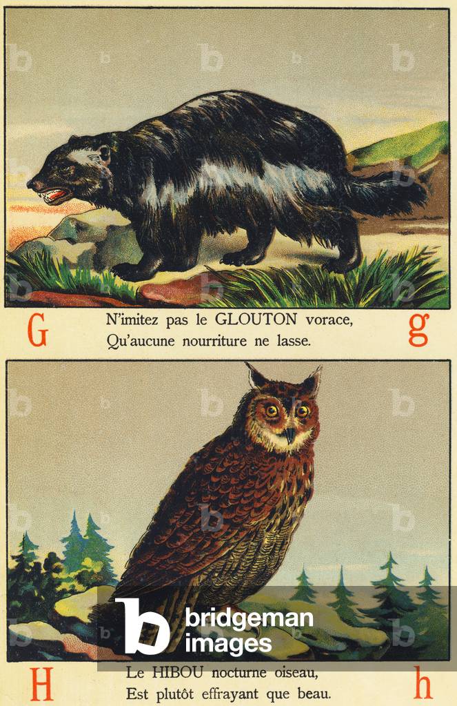G as Glouton and H as Owl
