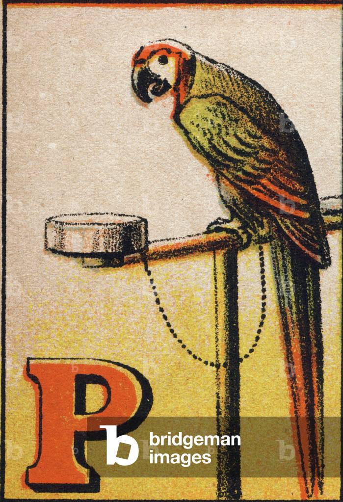 Letter P: parrot. ABC. Franco-German abecedaire. Late chromolithography of the 19th century. Unknown editor. 16 pages. Dim: 17x11,5cm