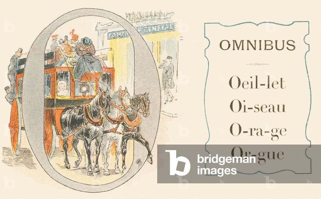 O: Omnibus, carnation, bird, storm, organ