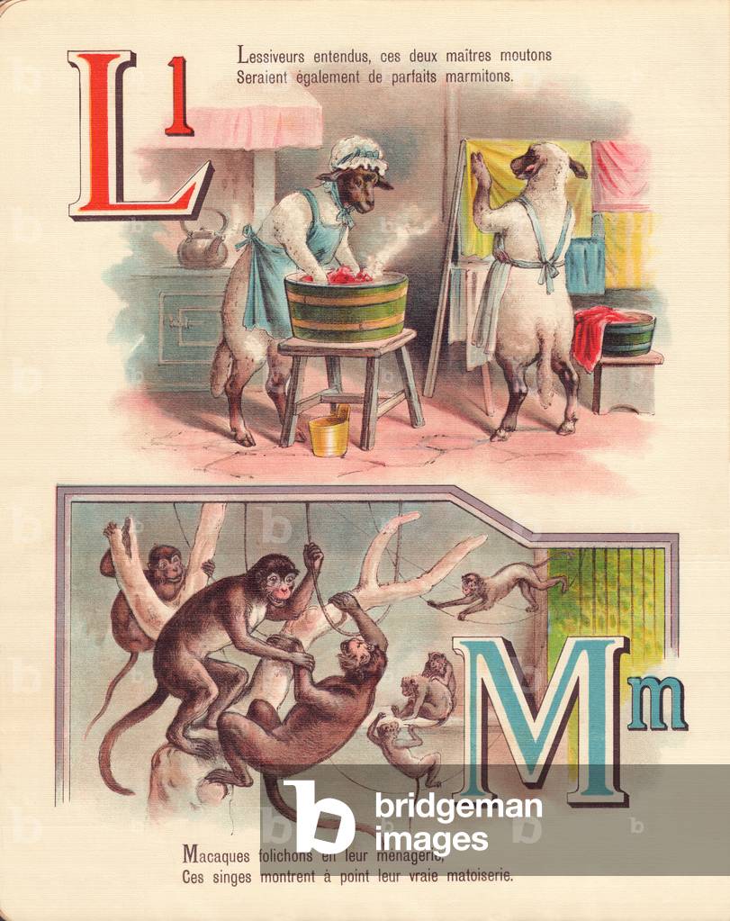 L M: Lamb, laundry, monkeys, menagerie