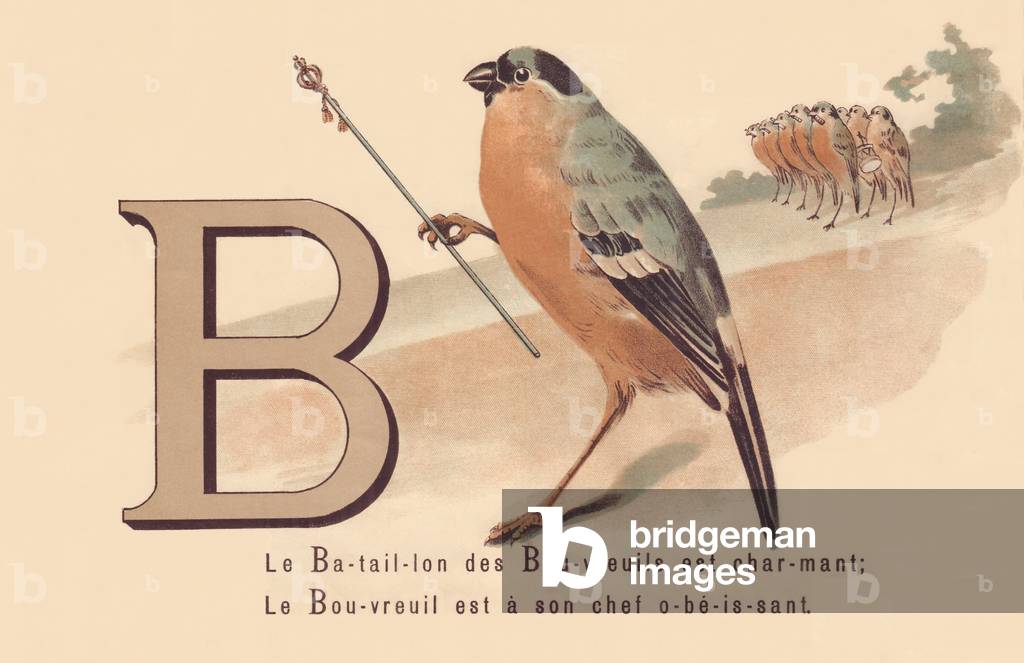 B: The Bullfinch Battalion is charming; The Bullfinch is a obedient leader