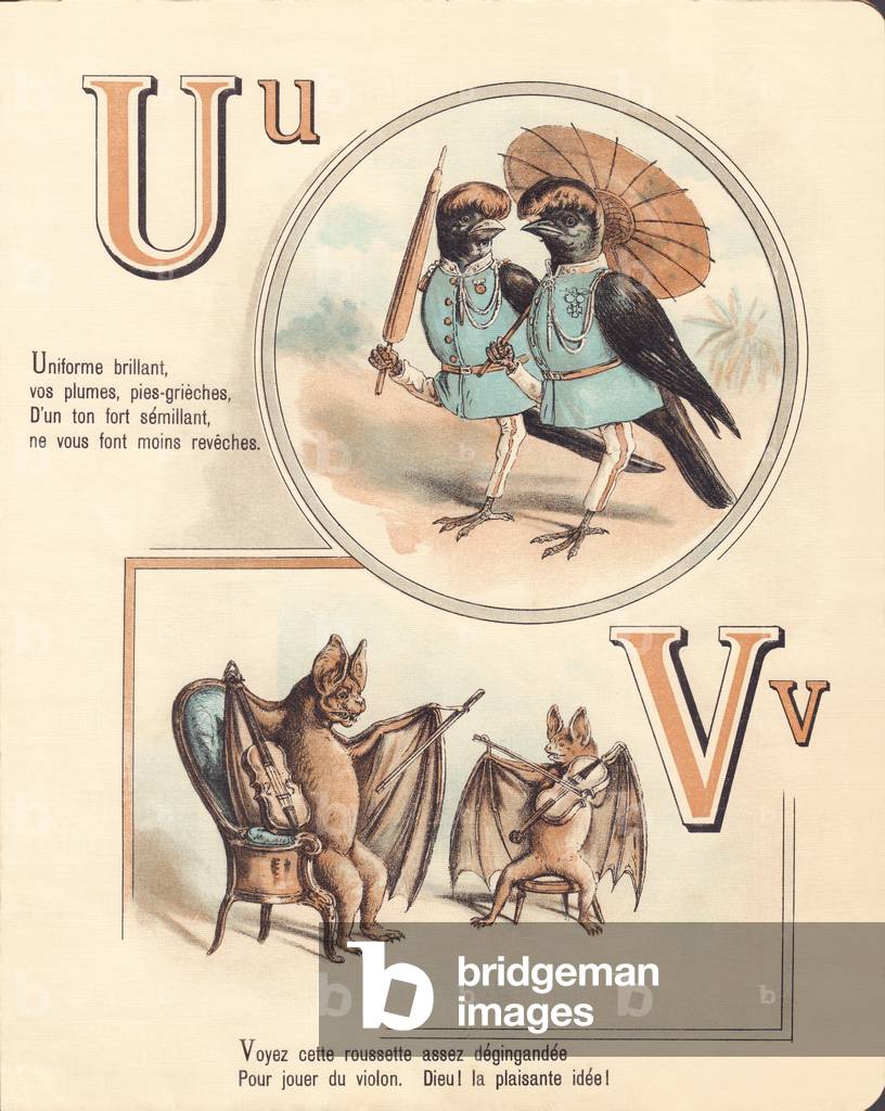 U V: Urubu, uniform, vampire, violin
