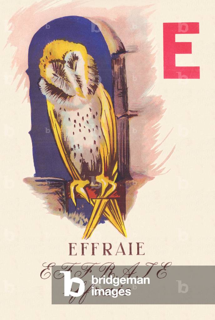 ABC The Barn Birds, 1945 (illustration)