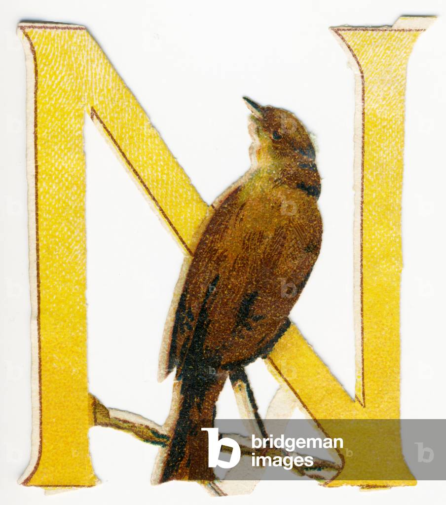 N Nightingale -  image of animals in decoupi, end of 19th century (chromolithograph)
