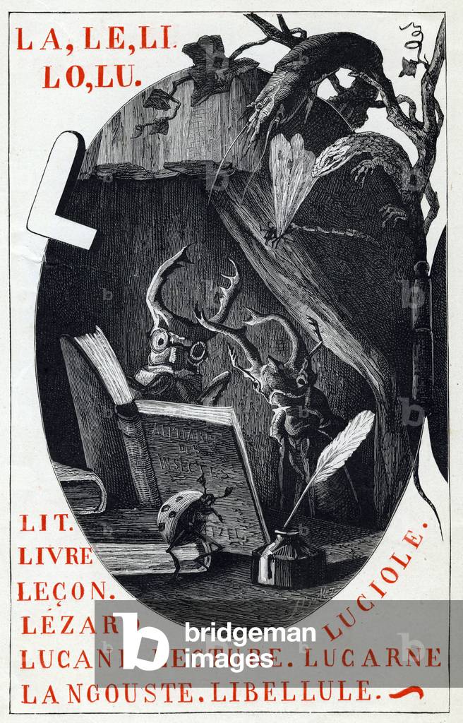 Letter L as bed, book, lecon, lezard, lucane, reading, dormer, lobster, dragonfly and firefly. Insect alphabet. Library of education and recreation. Drawings by Leon Becker (1826-1909). End wood engraving by Fortune-Louis (Fortune Louis) Meaulle (1844-?) , 1883. Private Collection
