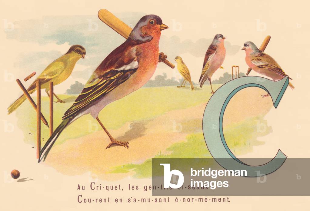 C: In the Locust, the nice birds run with a lot of fun