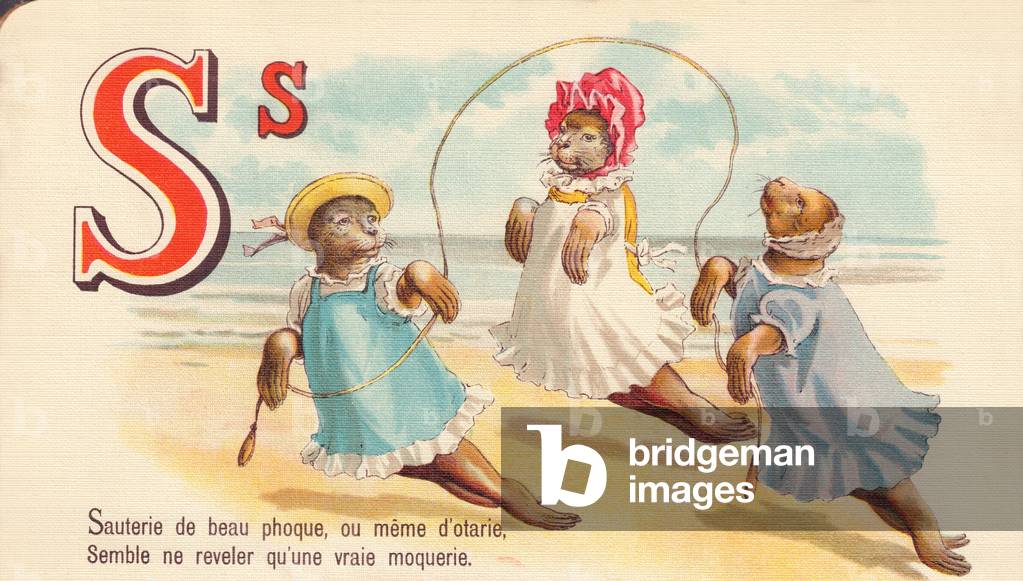S: Sauté of beautiful seal, or even of seals, seems to reveal only a real mockery