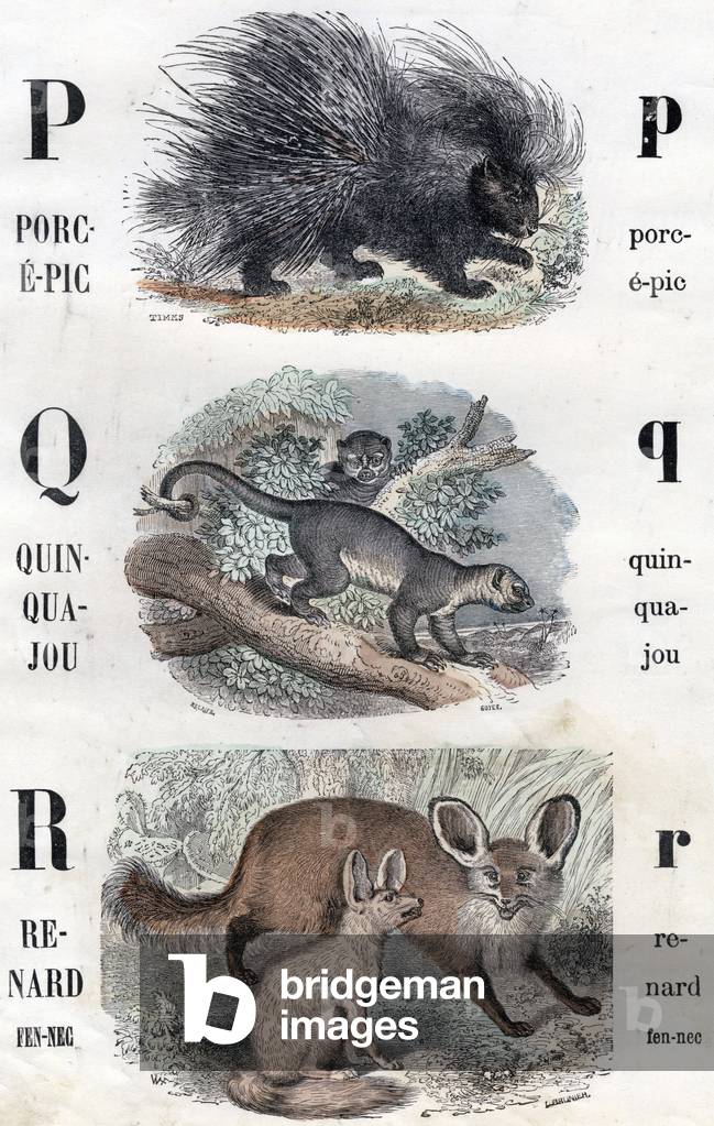 Illustration for 