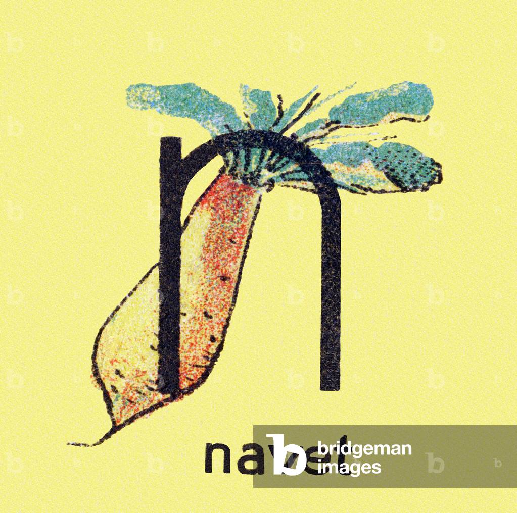 Turnip (turnip) - Engraving in “Alphabetical cubes, fruits and vegetables