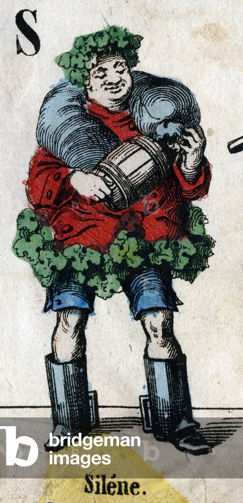 Letter S: Silene. Engraving in 