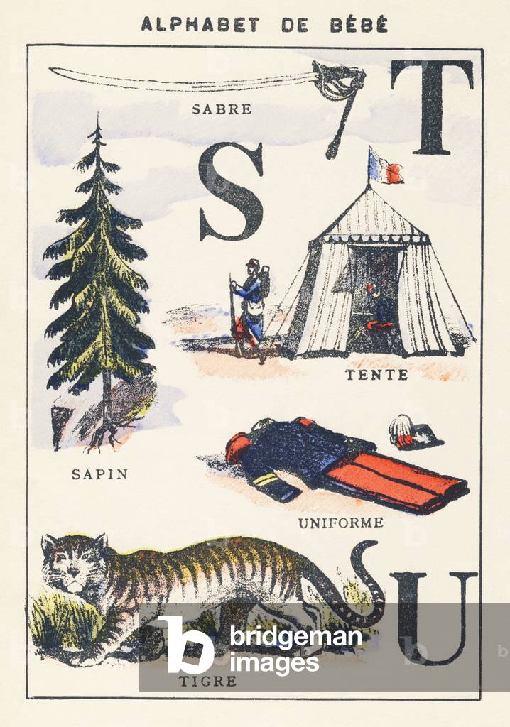 S T U: saber, fir, tent, tiger, uniform