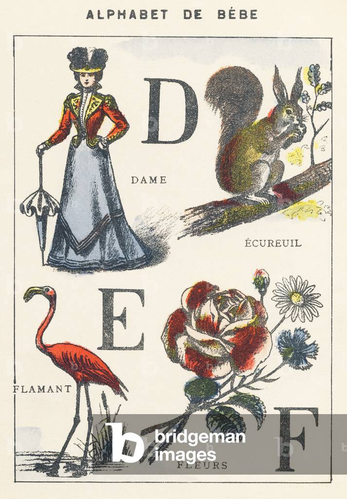 D E F: lady, squirrel, flamingo, flowers