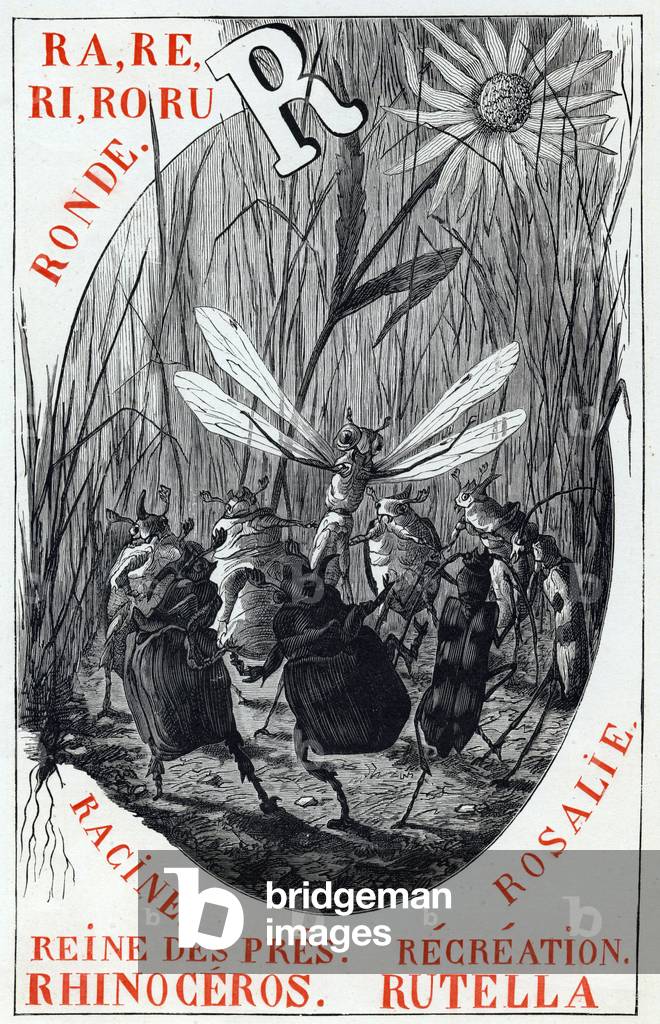 Letter R as round, root, rosalie, queen of pres, rhinoceros, rutella. Insect alphabet. Library of education and recreation. Drawings by Leon Becker (1826-1909). End wood engraving by Fortune-Louis (Fortune Louis) Meaulle Private Collection