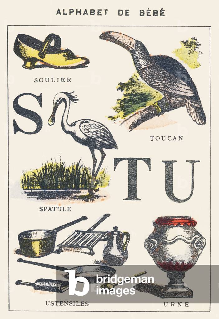 S T U: shoe, spatula, toucan, utensils, urn