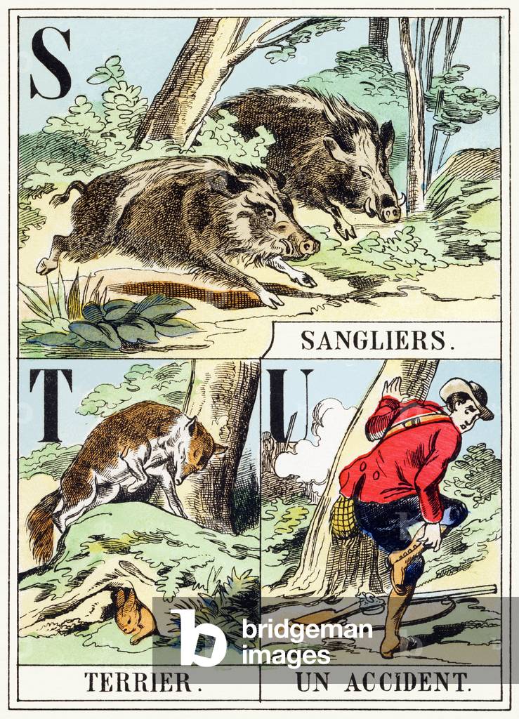 S T U : Sanglier, Terrier, Un accident - The Hunting Alphabet, c.1890 (engraving)
