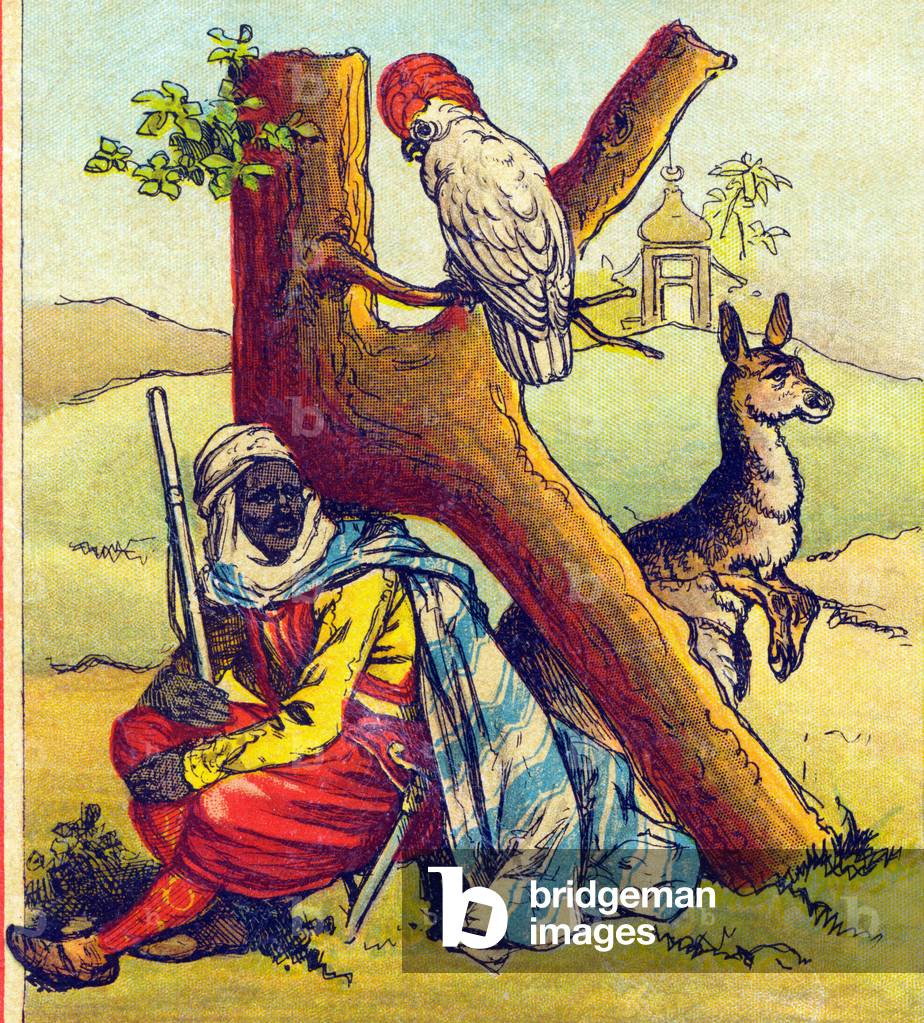 Bild von Fotografie "Buchstabe K: Kabyle" 1900