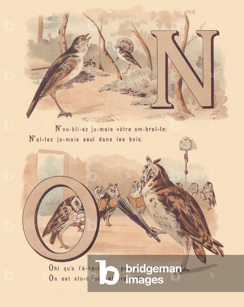 N O: Nightingale, nuptial, owl, orthography