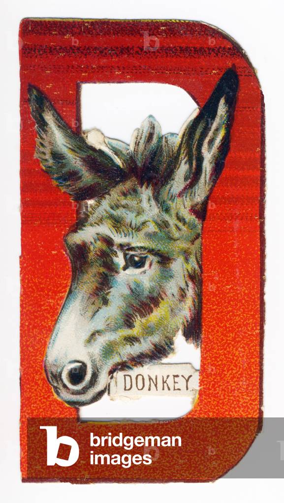 D Donkey - end of 19th century (chromolithograph)