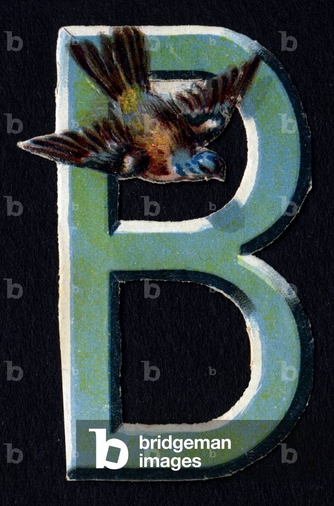 B like Bird. Beetle decoupis on the theme of animals. Engraving. Series of 26 waffle chromolithographs of English origin. Editor and illustrator unknown. End of the 19th century. Dim: 5,5x3,5cm