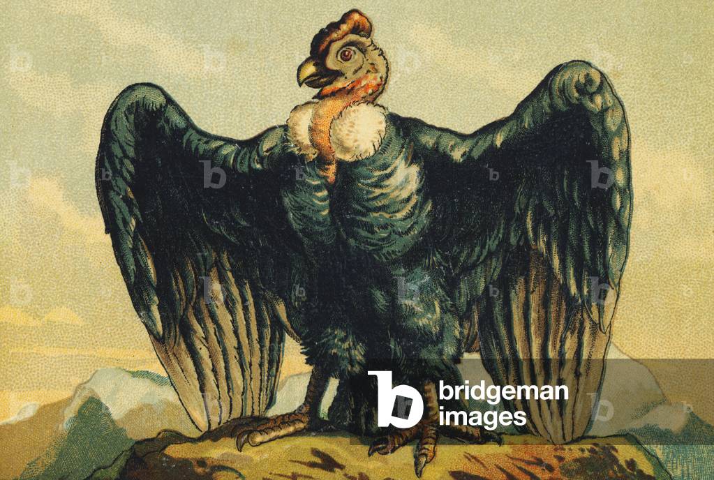 V as Vulture