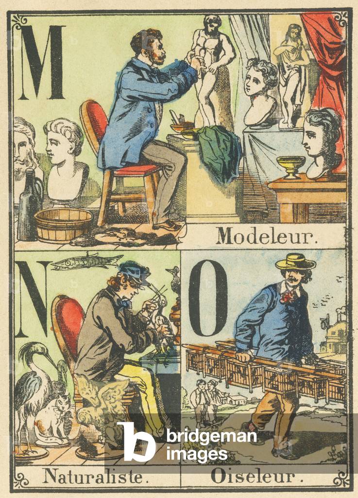 M N O: Modeler, Naturalist, Birdbird