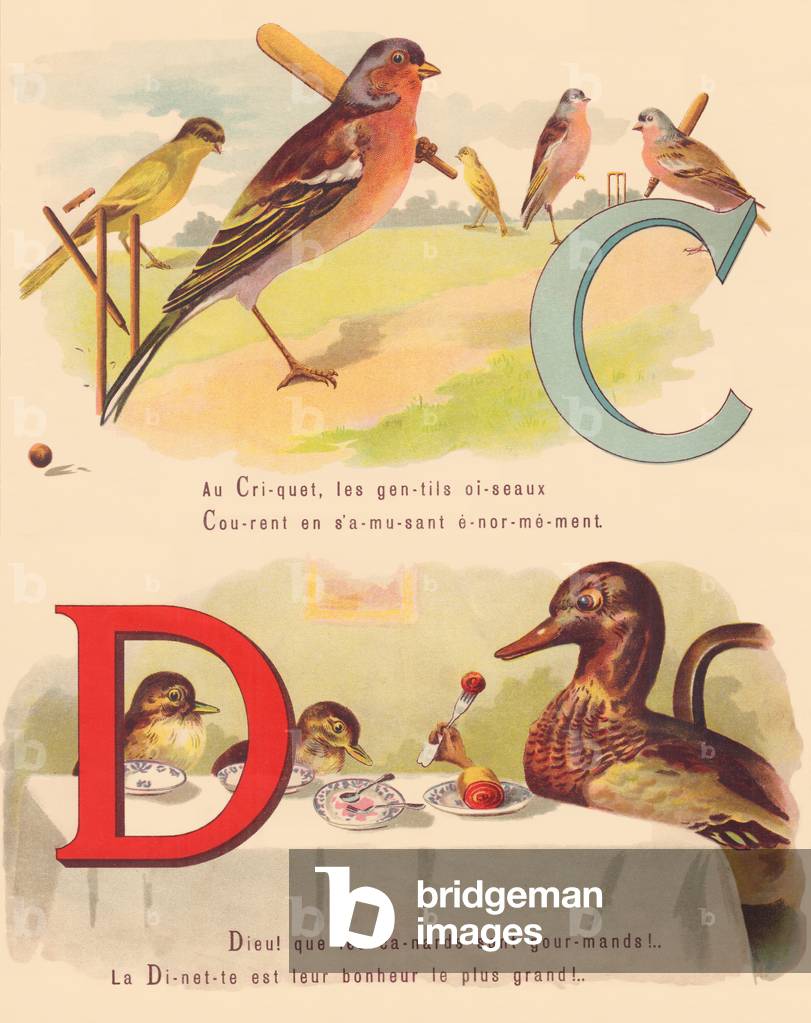 C D: Chaffinch, cricket, duck, dinette;