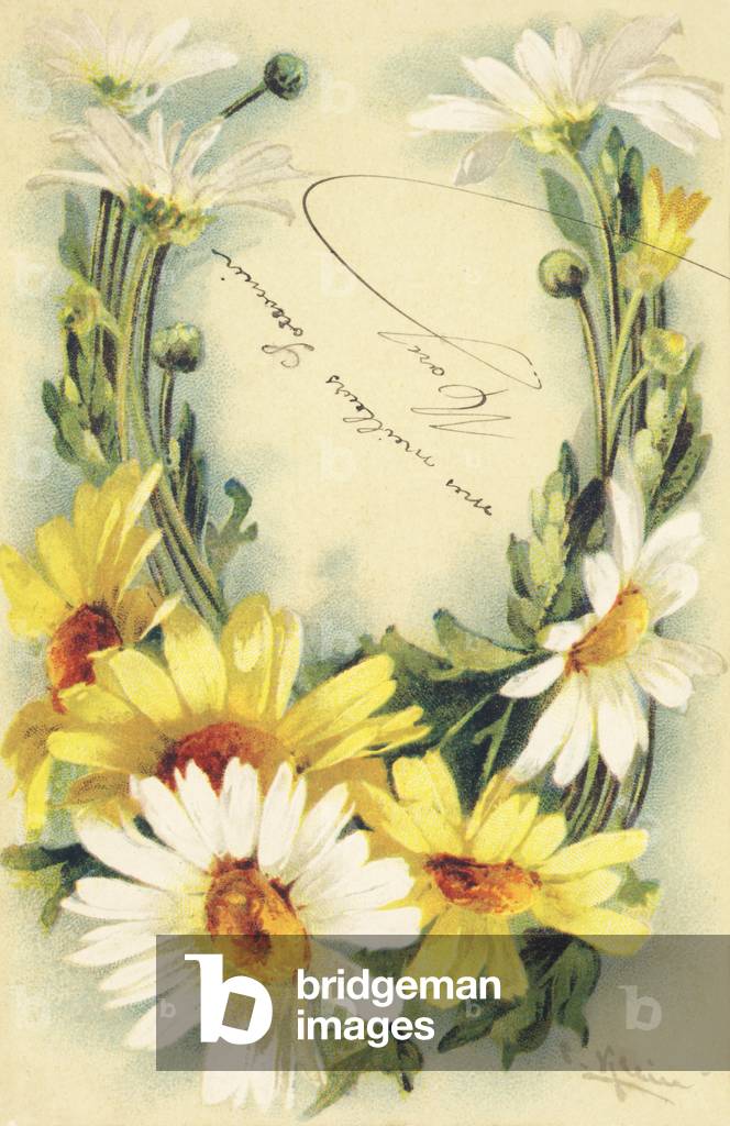 U : fleurs de marguerites jaunes et blanches - Flowers alphabet G. B. editeur, Paris, 1904 (postcard)
