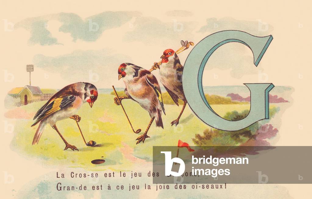 G: The Lacrosse is the game of the Boys; Great is at this game the joy of birds