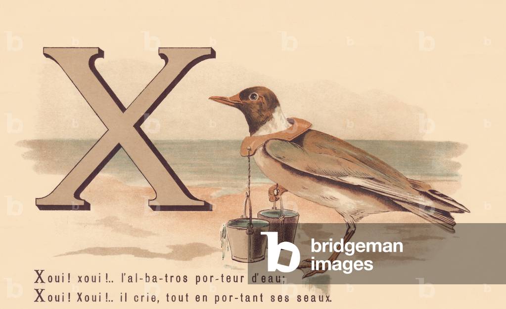 X: Xyes! xyes! the water-carrying albatross; Xoui! xyes! he screams, while carrying his buckets