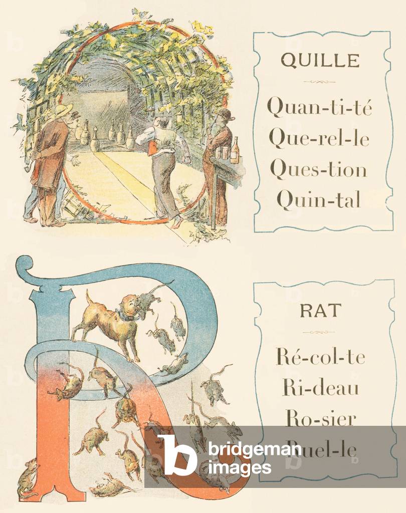 Q A: Kel, Rat