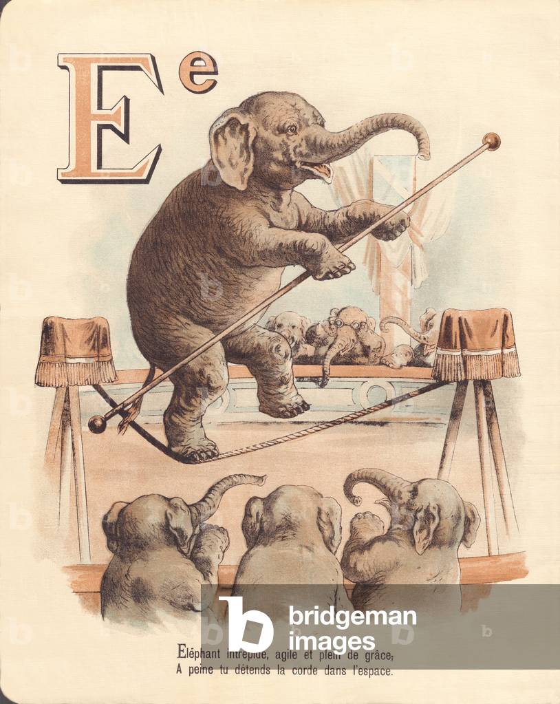 E: Elephant, equilibrist intrepid elephant, agile and full of grace, barely relax the rope in space