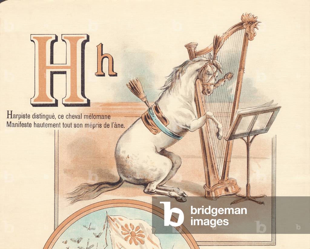 H: Harpist distinguishes, this melomane horse Manifesto highly all his disregard for the donkey