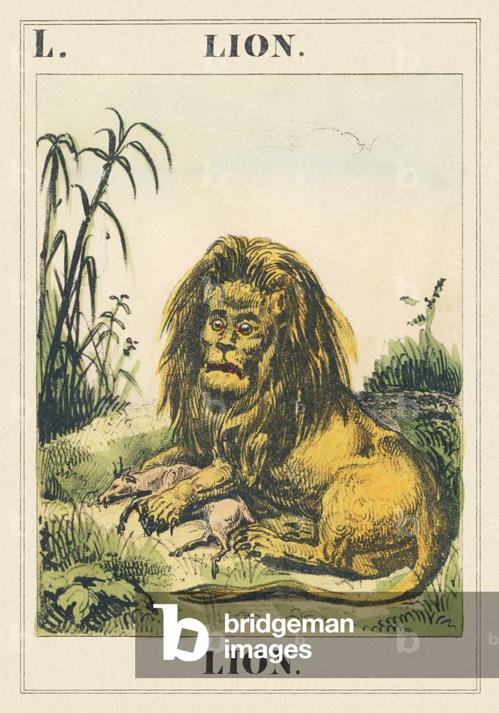 L: Leo