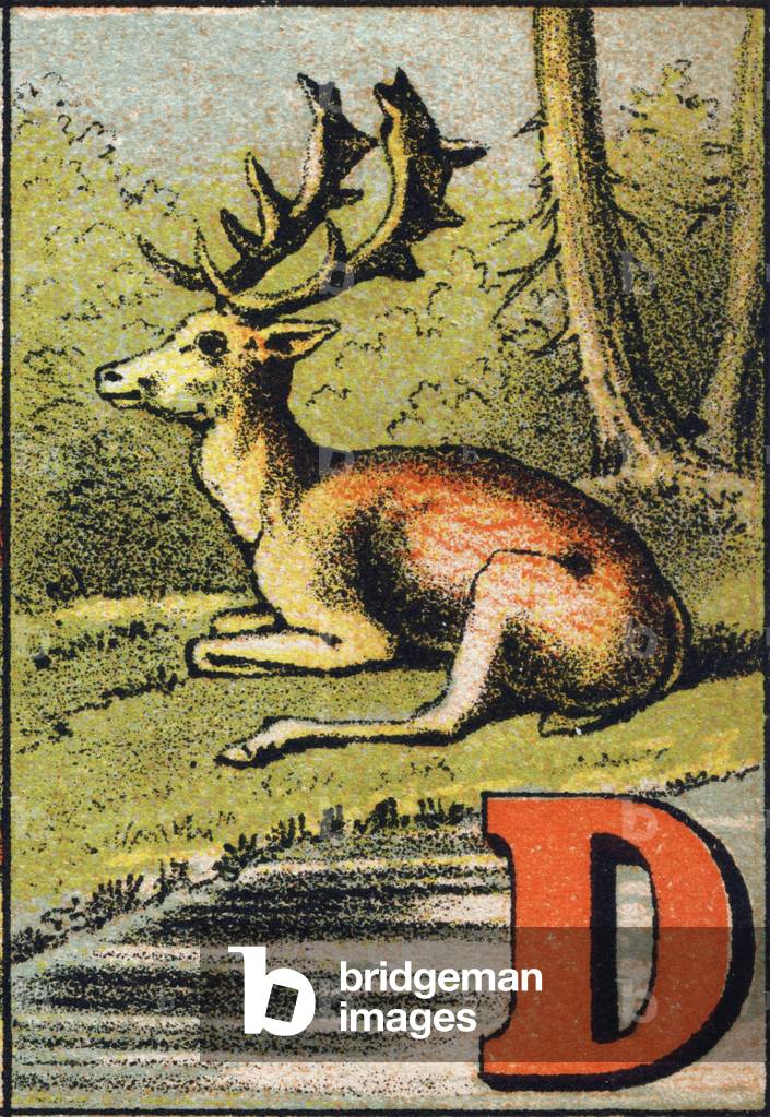 Letter D as suede. ABC. Franco-German abecedaire. Late chromolithography of the 19th century. Unknown editor. 16 pages. Dim: 17x11,5cm