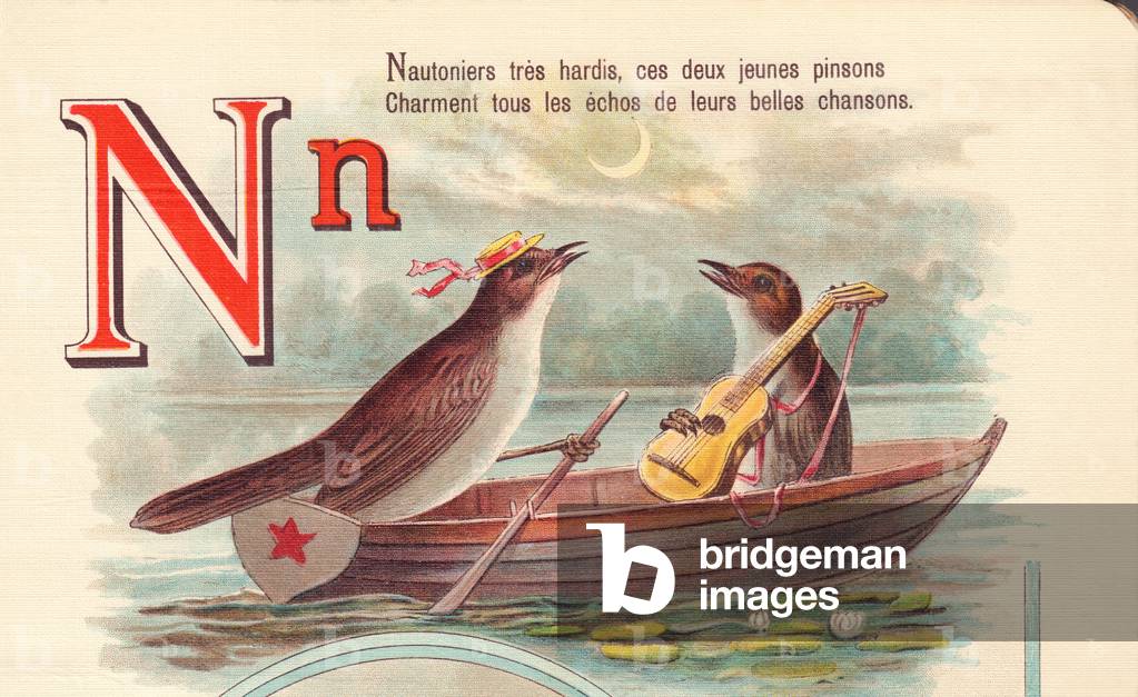 N: Nautoniers very daring, these two young finches Charment all the echoes of their beautiful songs