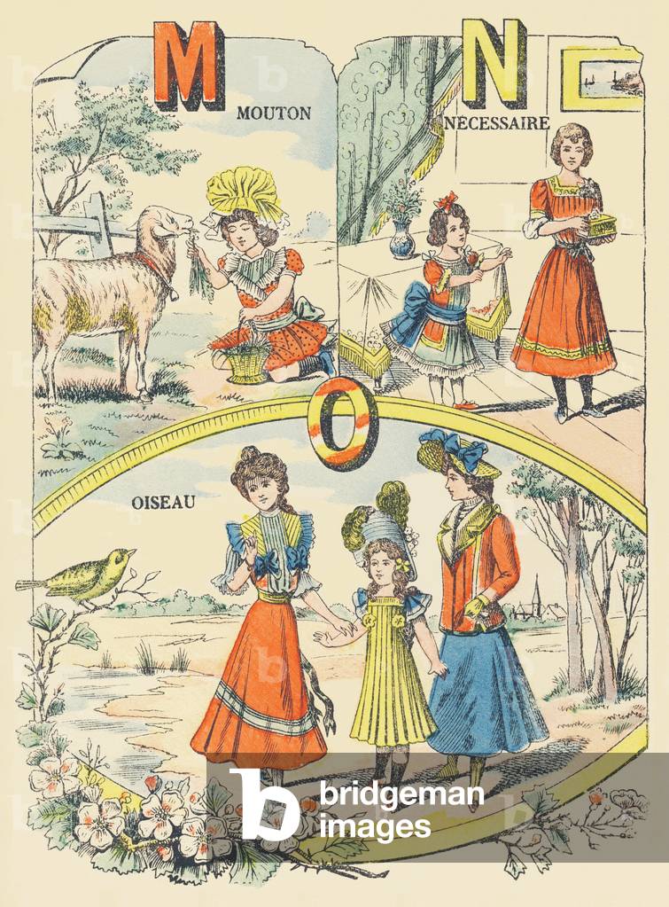 M N O: sheep, necessiary, bird