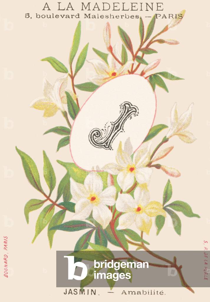 J: Jasmine — Amabilite