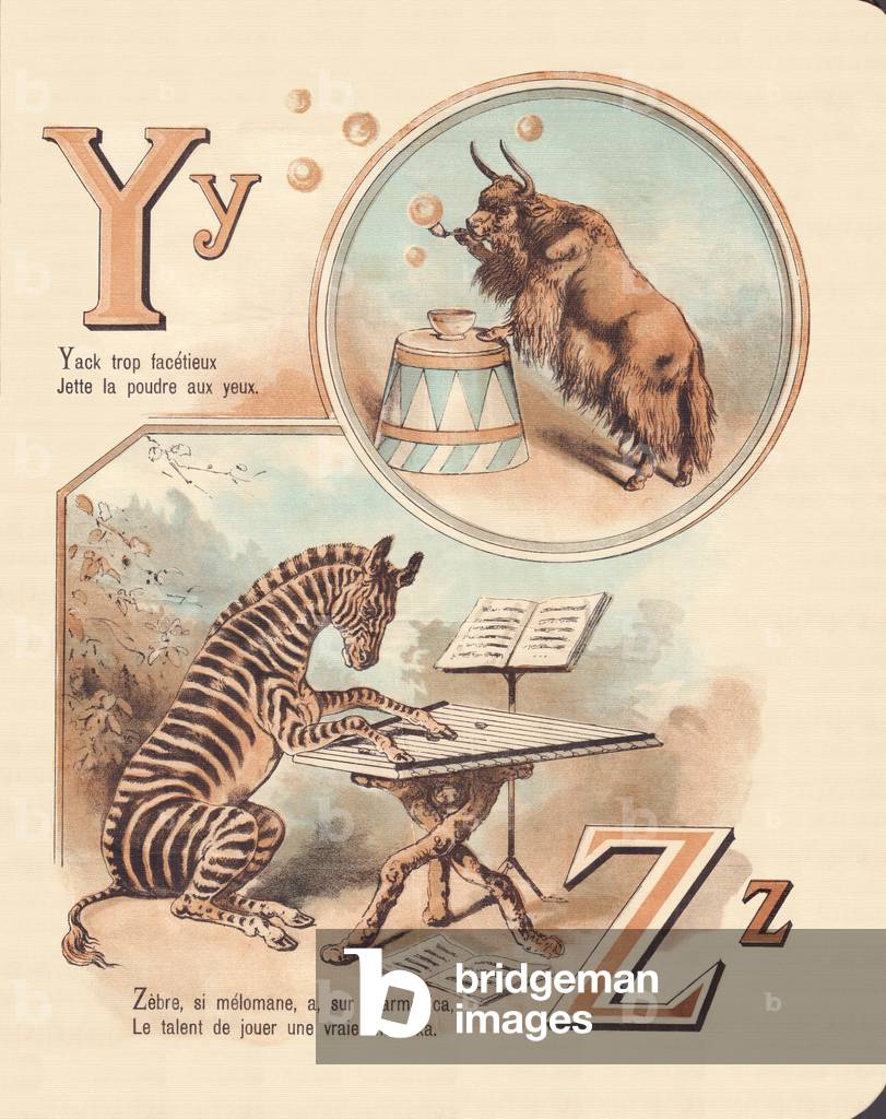 Y Z: Yak, Zebra