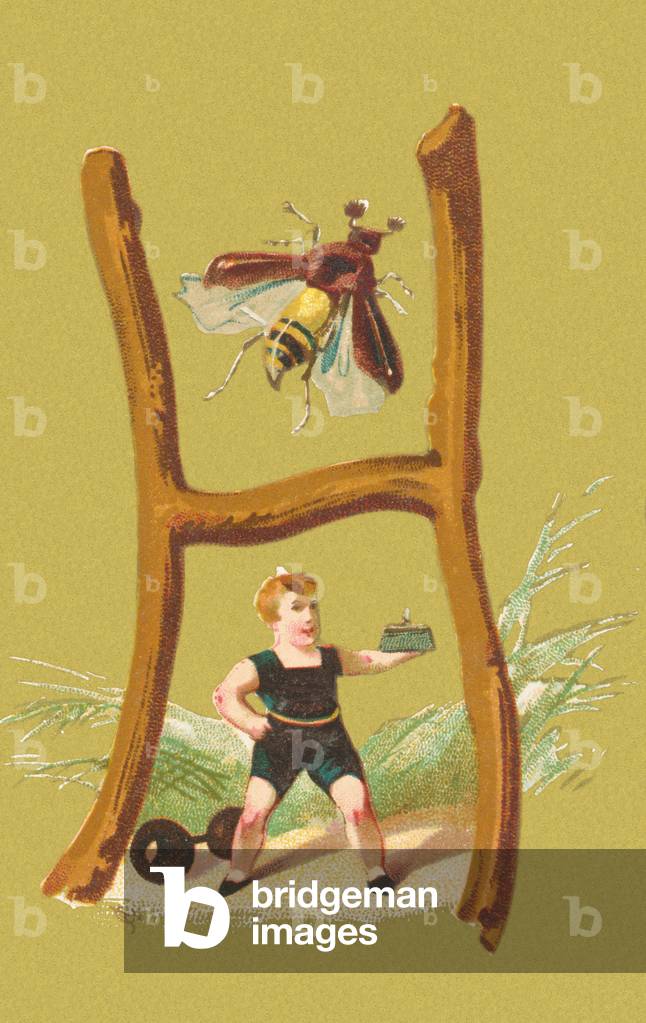 H: halterophile, chafer, grass (colour litho)