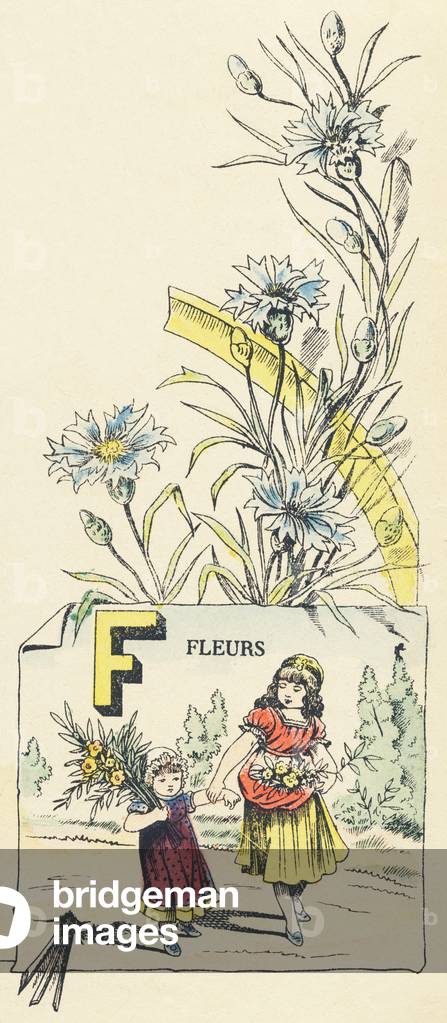 F: flowers