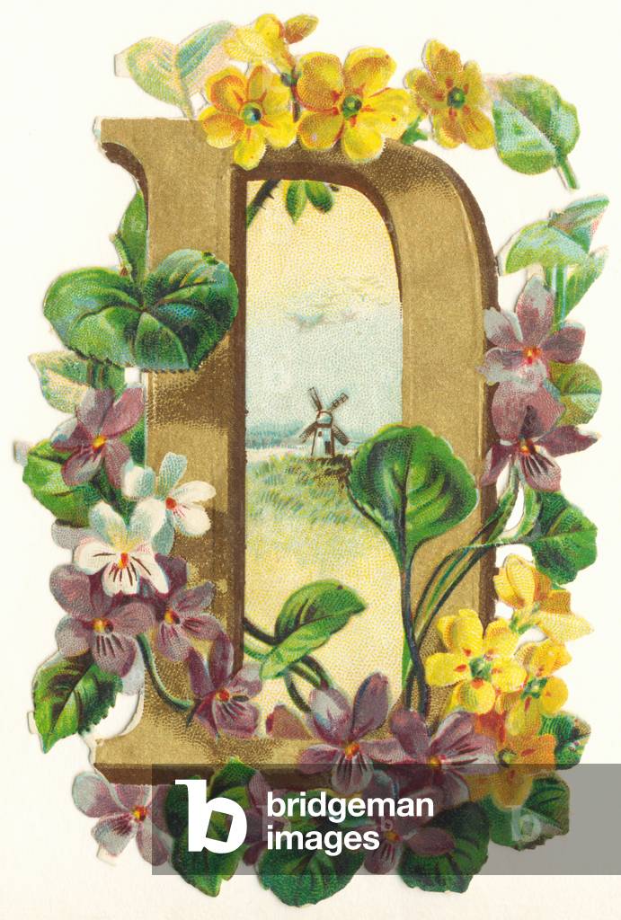 D : Violettes, moulin a vent dans la campagne - Flowers and Landscapes Alphabet in 
