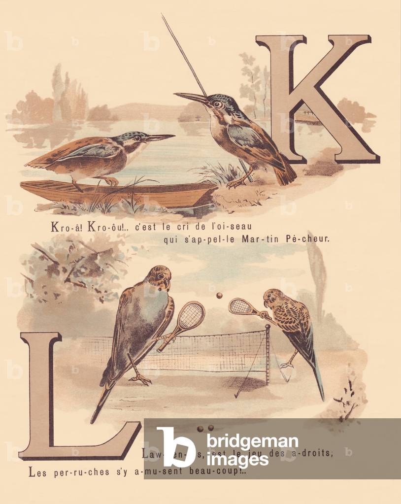 K L: Kingfisher, bark, lori, lawn-tennis