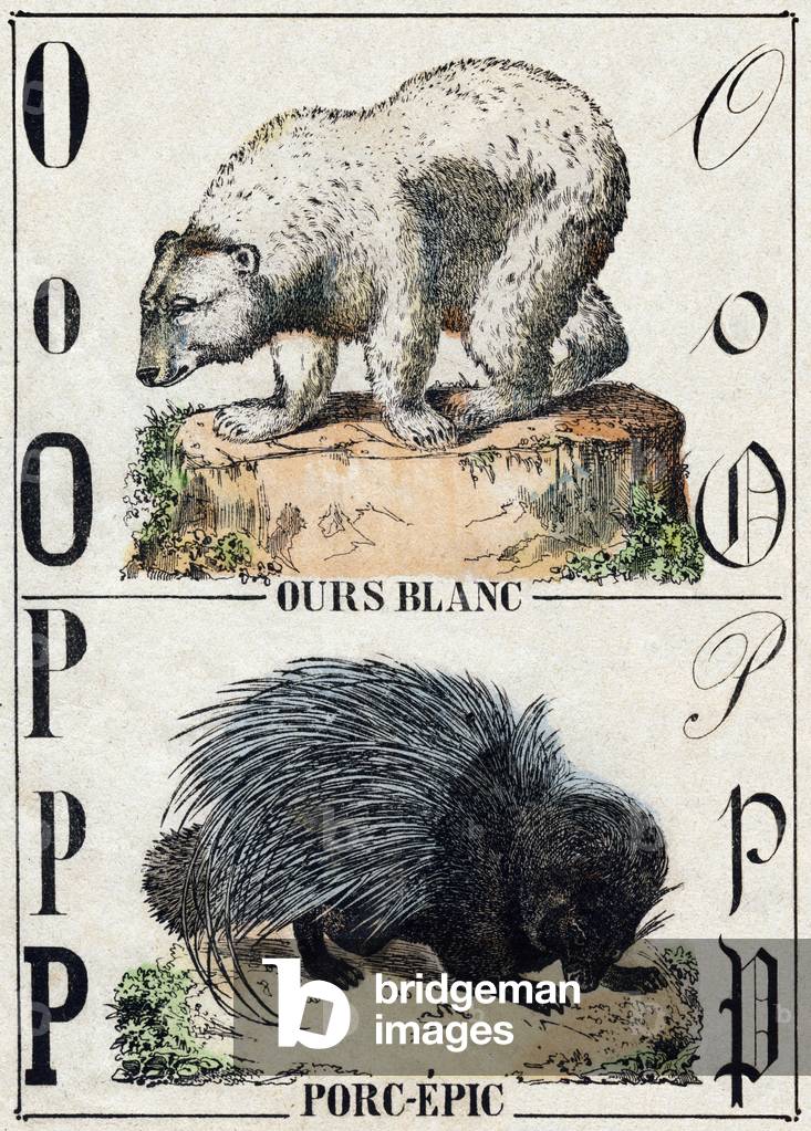 Letter O Bear; P Pork-epic (Pig epic),in “” Alphabet des animaux sauvages””, c.1870 (Epinal print)