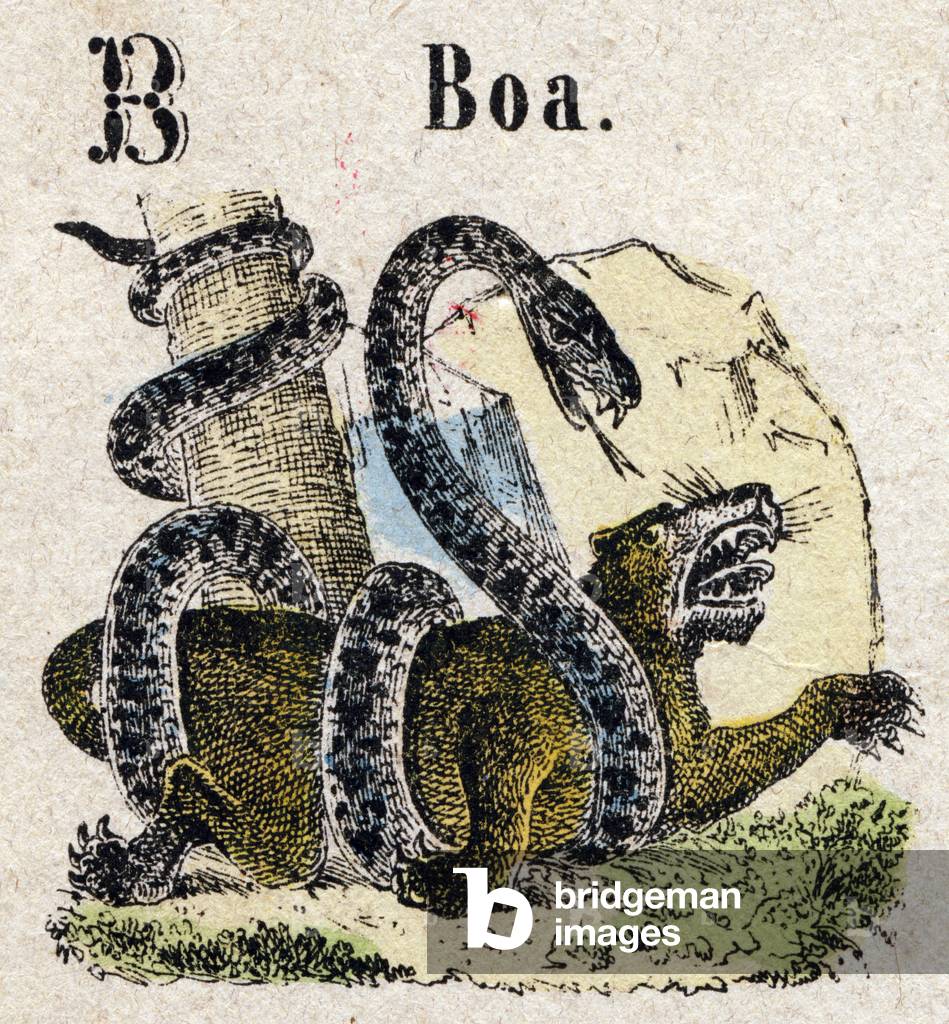 Abecedary. Letter B like Boa. Small encyclopedic alphabet, popular series. Epinal imaging, late 19th century