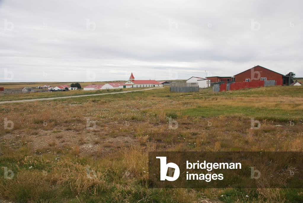 Goose Green, Falkland Islands (photo)
