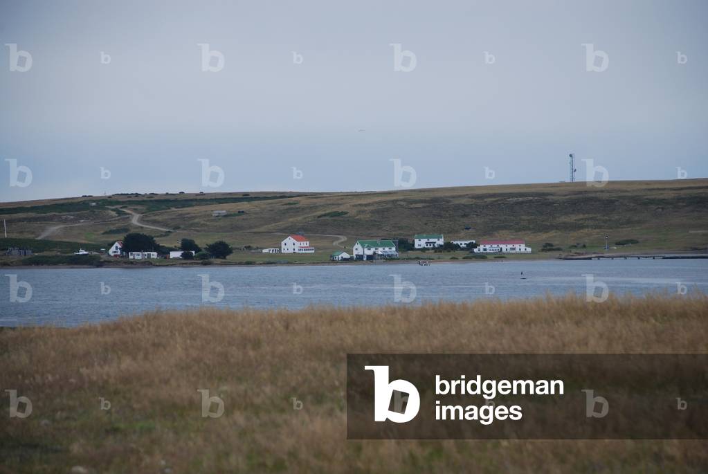 Darwin from Goose Green, Falkland Islands (photo)